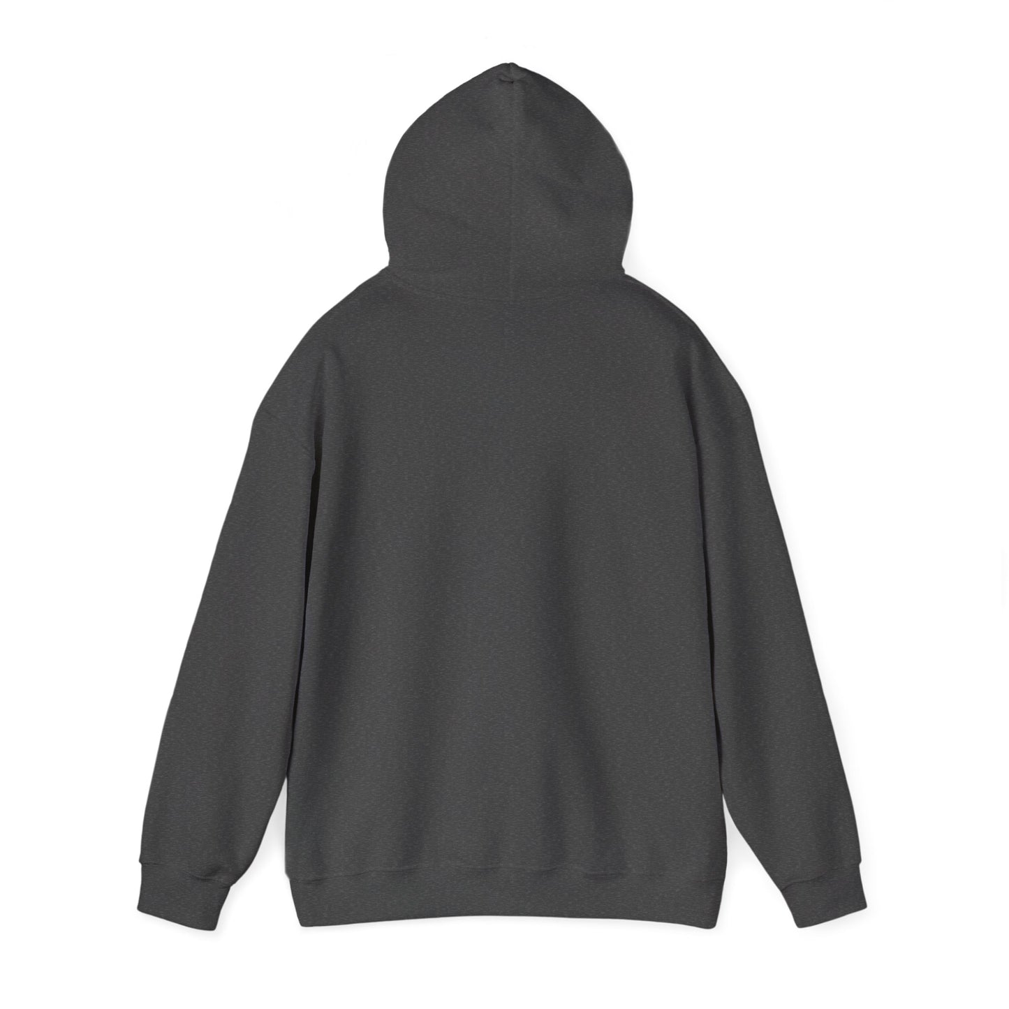 Bookstagrammer Hoodie
