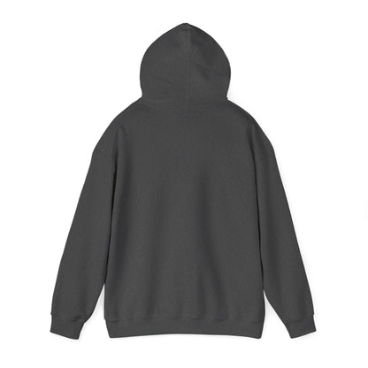 Bookstagrammer Hoodie