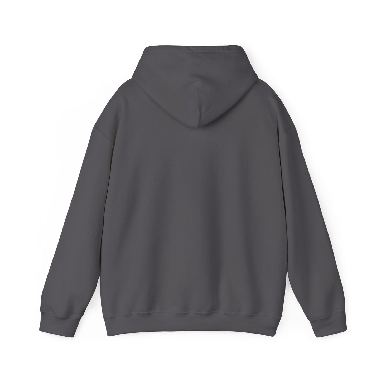 Bookstagrammer Hoodie
