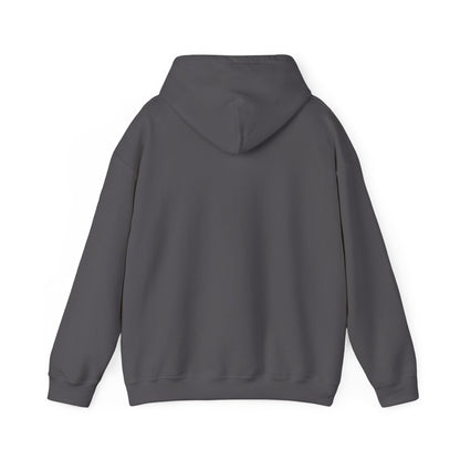 Bookstagrammer Hoodie