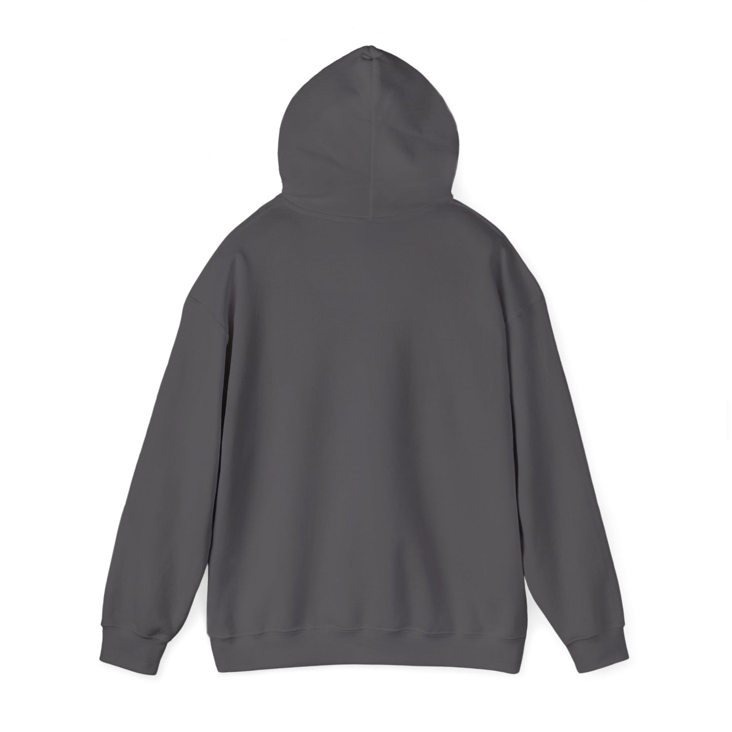 Bookstagrammer Hoodie