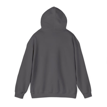 Bookstagrammer Hoodie
